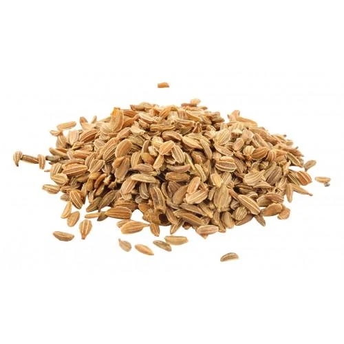 Gajar Seed (Daucus carota) used in M.C Plus
